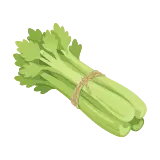 Celery icon