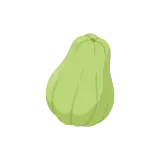 Chayote icon