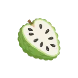 Cherimoya icon