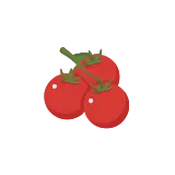 Cherry tomato icon