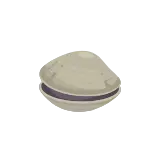 Clam icon