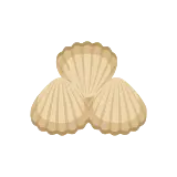 Cockle icon