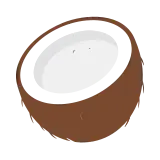 Coconut icon