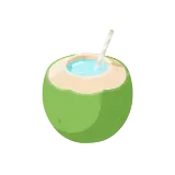 Coconut water icon