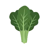 Collard greens icon