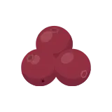 Cranberry icon