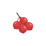 Currant icon