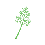 Dill icon