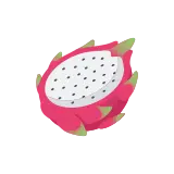 Dragon fruit icon