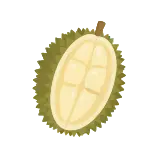 Durian icon