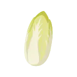 Endive icon