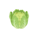 Escarole icon