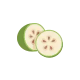 Feijoa icon