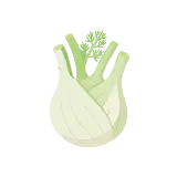 Fennel icon
