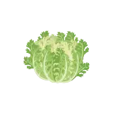 Frisee icon