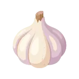Garlic icon