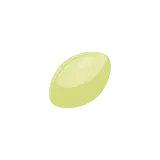 Ginkgo nut icon