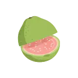Guava icon