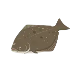 Halibut icon