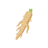 Horseradish icon