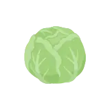 Iceberg lettuce icon