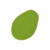 Jackfruit icon