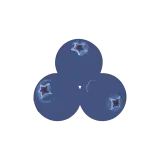 Juniper berry icon