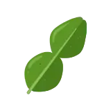 Kaffir lime leaf icon