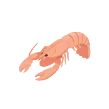 Langoustine icon