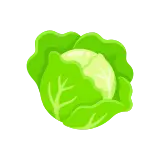 Lettuce icon