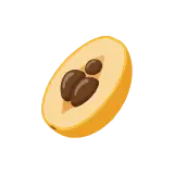 Loquat icon