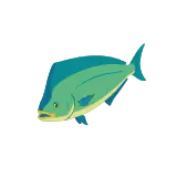 Mahi mahi icon