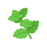 Mint icon