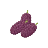 Mulberry icon