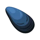 Mussel icon