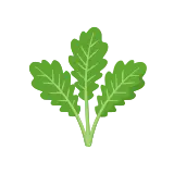Mustard greens icon