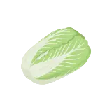 Napa cabbage icon