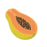 Papaya icon