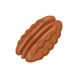 Pecan icon