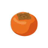 Persimmon icon