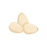 Pine nut icon