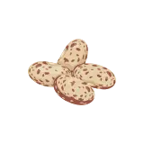 Pinto bean icon