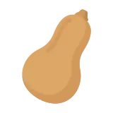 Butternut squash icon