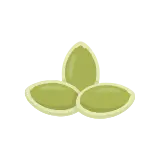 Pumpkin seed icon