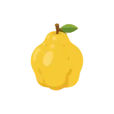 Quince icon