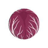 Radicchio icon