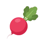 Radish icon