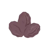 Raisin icon