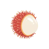 Rambutan icon