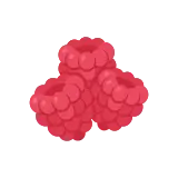Raspberry icon